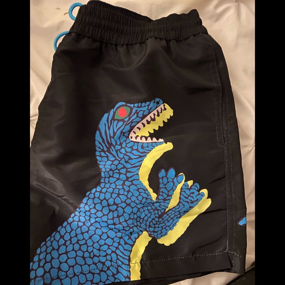 Paul smith mens bathing suit